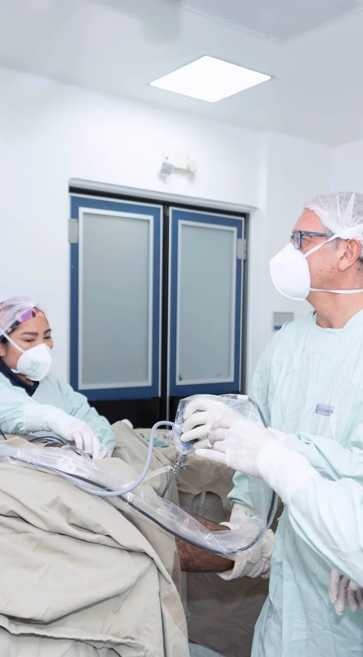Procedimiento de cirugía vascular en la Clínica Reina Sofía.